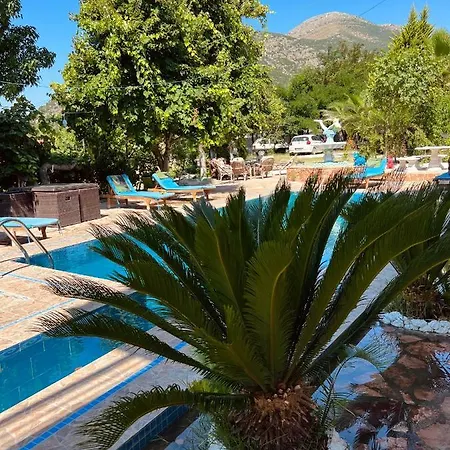 Vieri Λούκοβο