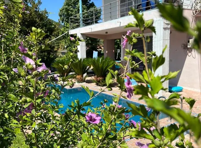 Apartment Vieri Lukove